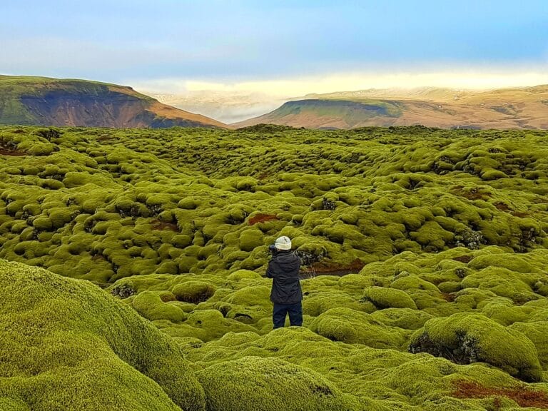 Découvrir l'Islande : Les champs de lave en Islande