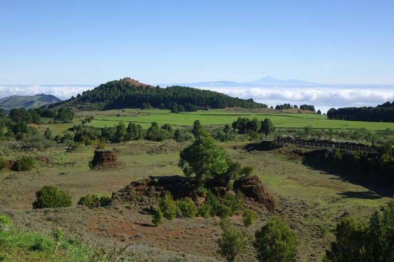 Randonnée Canaries forêts de l'Ile Hierro Akaoka