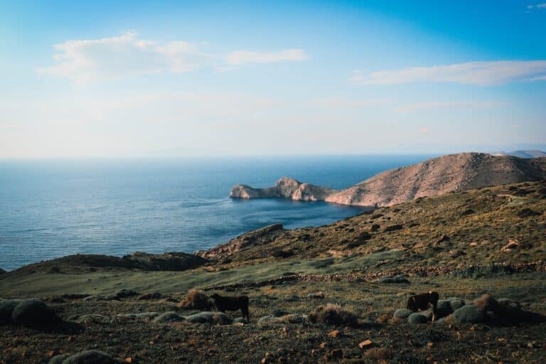 Randonnée Cyclades sur l'île d'Andros Akaoka