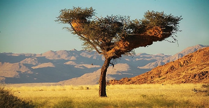 Randonnée en Namibie dans la savane du Damaraland Akaoka