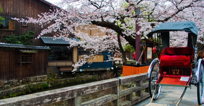 Voyage au Japon découverte en liberté des célèbres cerisiers Akaoka