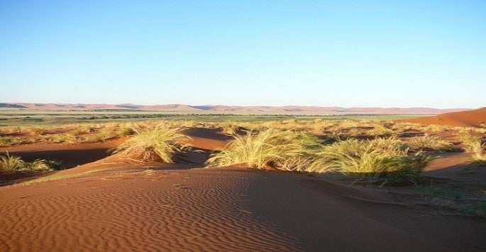 Raid en Namibie dans un désert près de Sesriem Akaoka