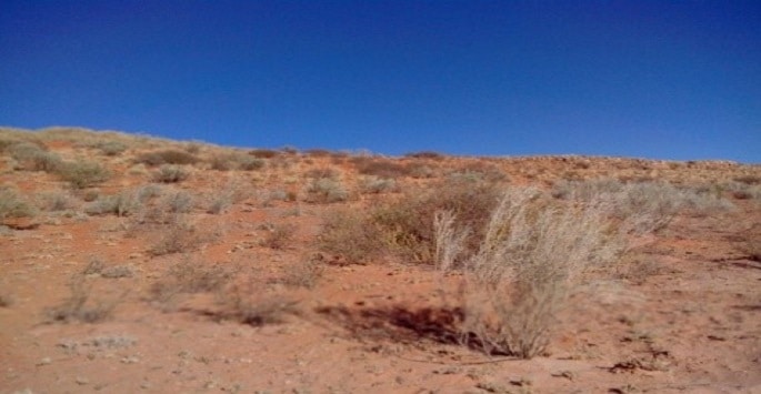 Trek en Namibie dans le désert du Kalahari Akaoka