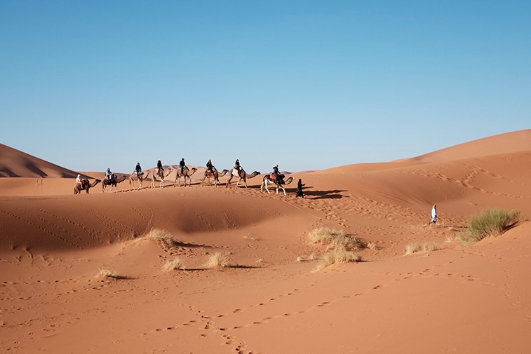 Trek Egypte en chameaux dans le désert du Sinaï