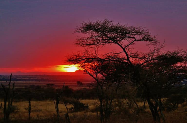Voyage en Tanzanie : coucher de soleil dans la savane Akaoka