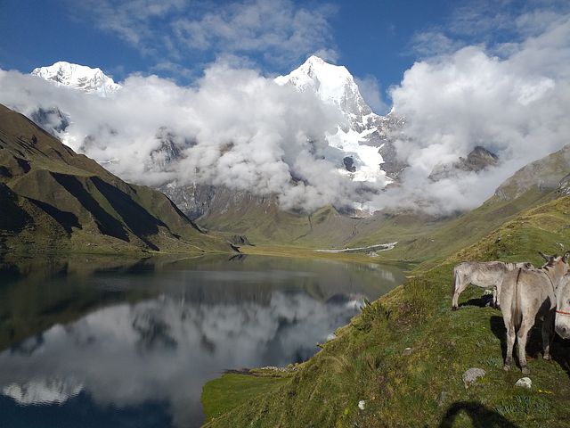 Trek au Pérou : des ânes au bord d'un lac entouré d'une chaîne de montagnes Akaoka