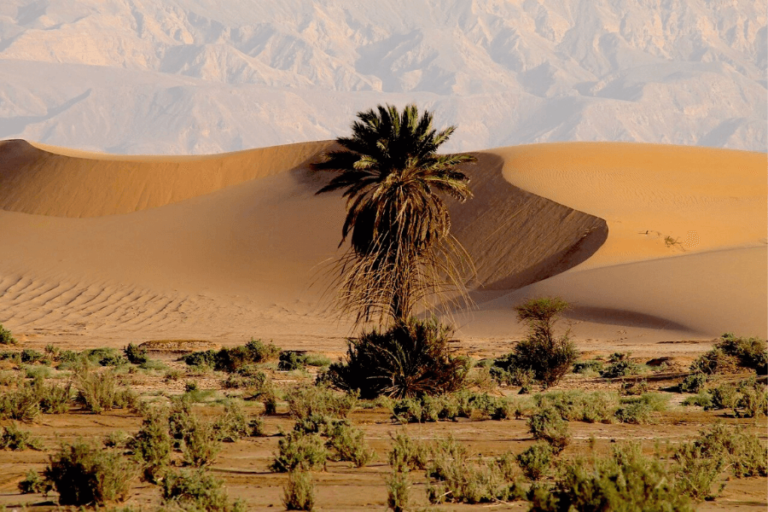 Randonnée Jordanie désert Wadi Araba