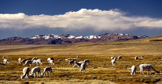 Trek au Chili : de vastes chaine de montagne bordés par des prairies Akaoka